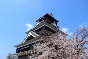 熊本城　桜